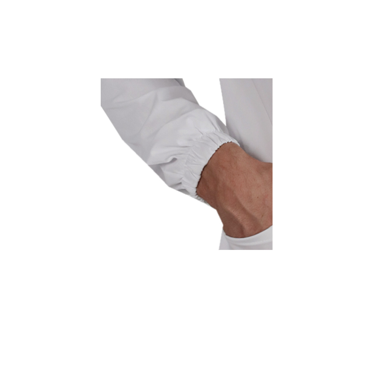 dettaglio 3